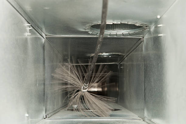 Air Duct Mold Removal in OH