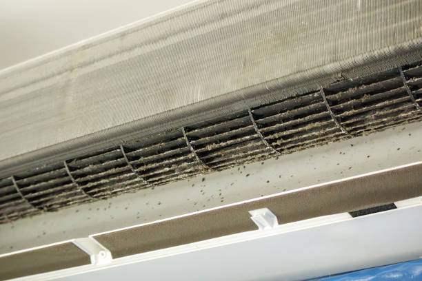 Best HVAC Maintenance and Cleaning  in New Burlington, OH